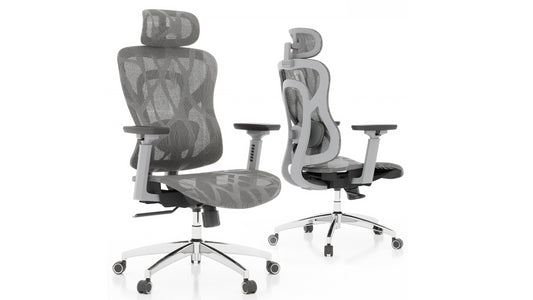 Logicfox Ergonomic Chair Ultra: Adaptive Thoracic Support Light Grey Frame & Mest Seat