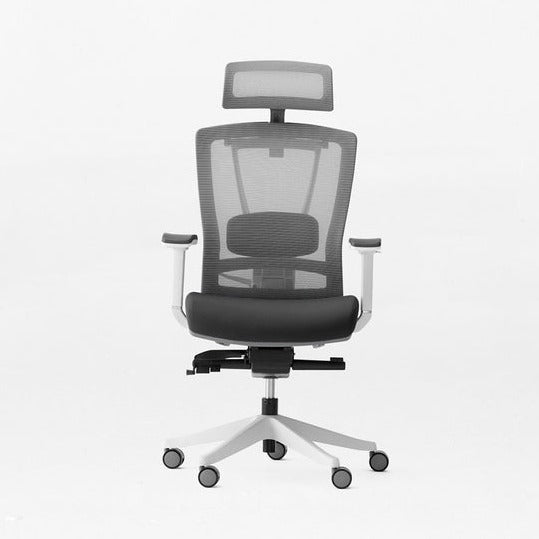 ErgoChair Pro