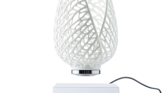 LevitatingX  Decor: Gravity-Defying Decor White - Wired - White - Skeletal Leaf