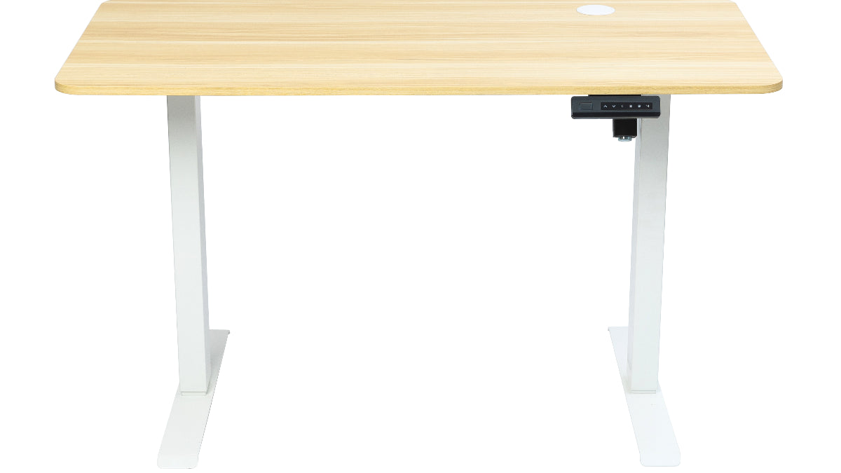 Aiterminal Standing Desk: Electric Adjustable Height white